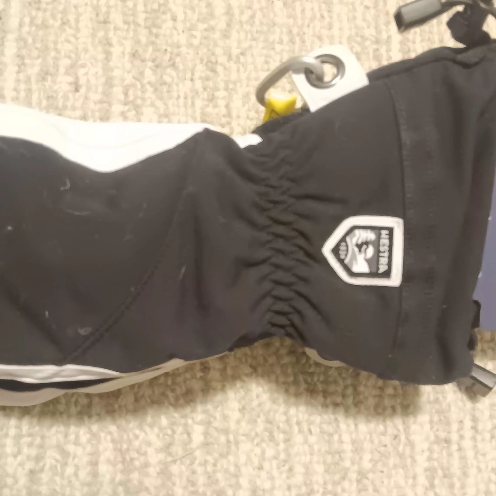 Hestra Alpine Pro Black Gloves